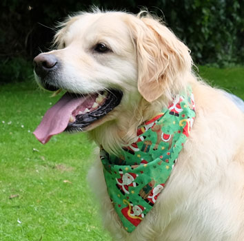 Tops Xmas Bandana